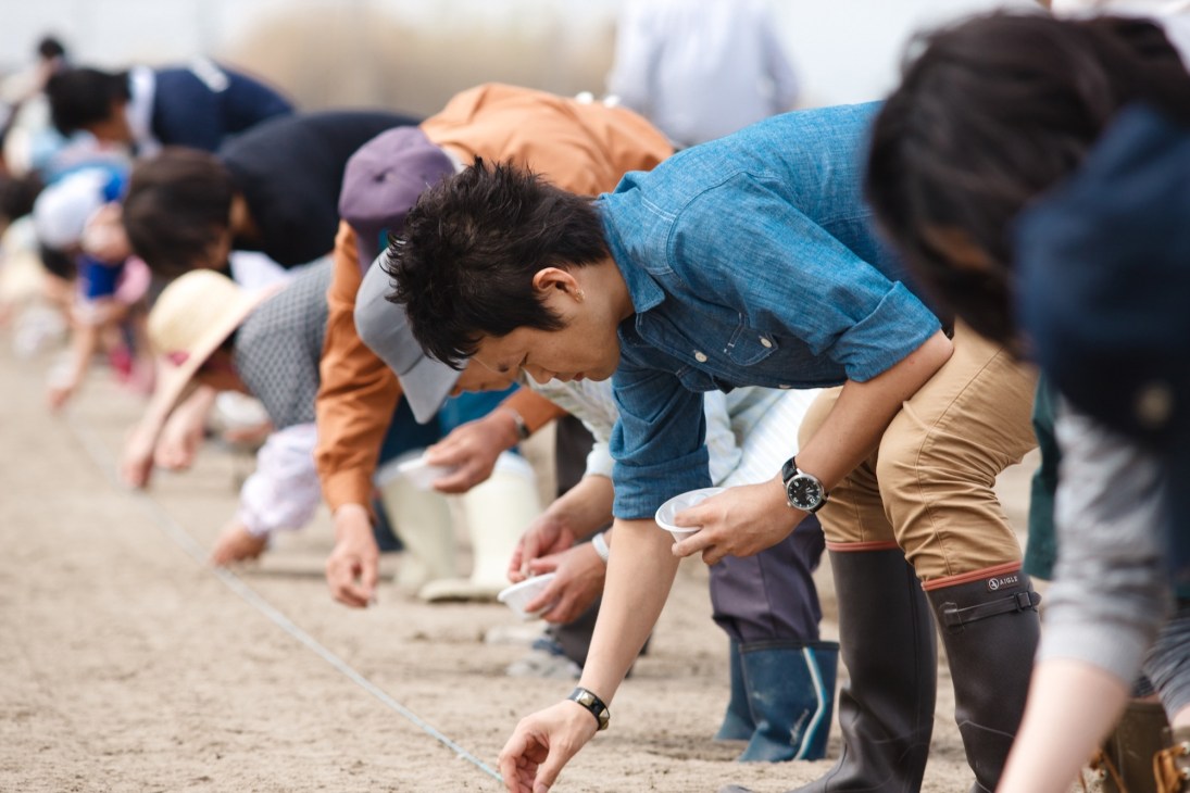Japanese farmers planting cotton in contaminated soil as part of the Tohoku Cotton Project.