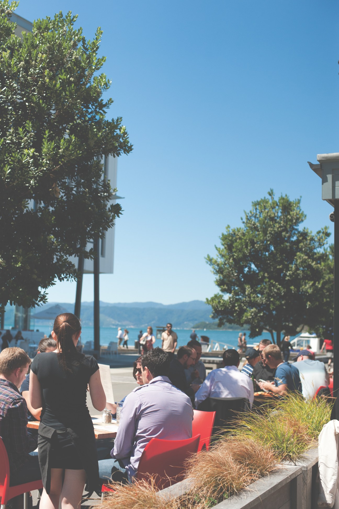 People seated at outdoor tables on Wellington's waterfront with harbour and hills visible in background.