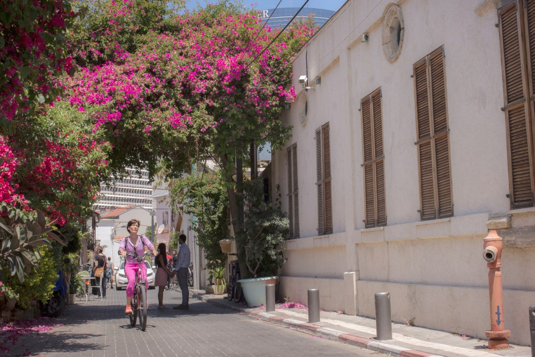 Person riding a bicycle on a sunny Tel Aviv street lined with pink bougainvillea flowers and historic buildings.