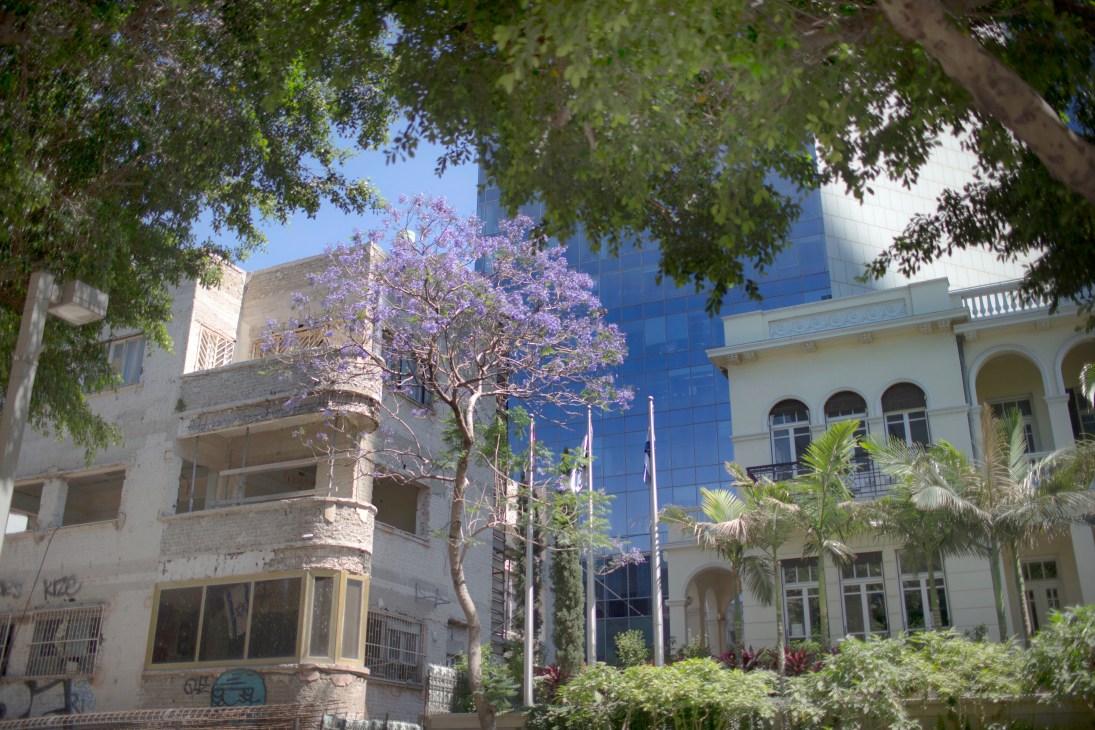 Tree with purple flowers frames eclectic architecture including historic stone buildings and modern glass structure in Tel Aviv's Neve Tzedek neighbourhood.