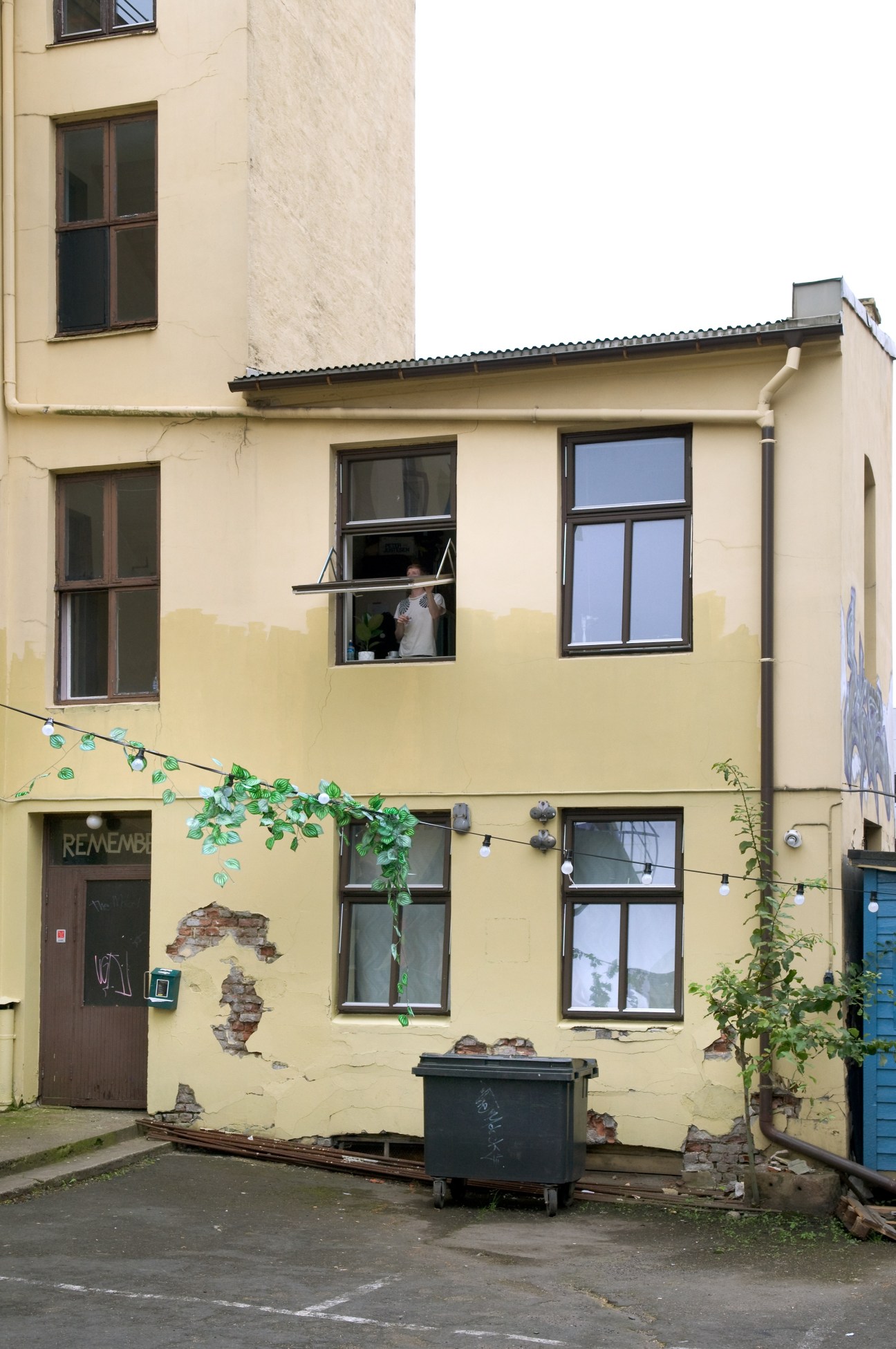 Yellow-painted building facade with windows and climbing ivy decorations strung across the wall.