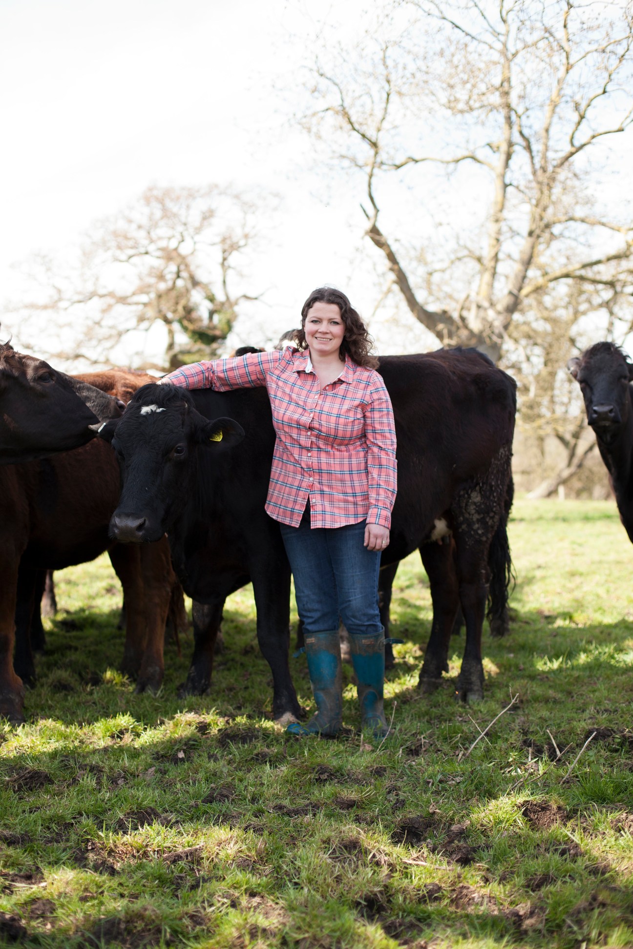 Jess Vaughan stands with her black dairy cows in a pasture with bare trees in the background.