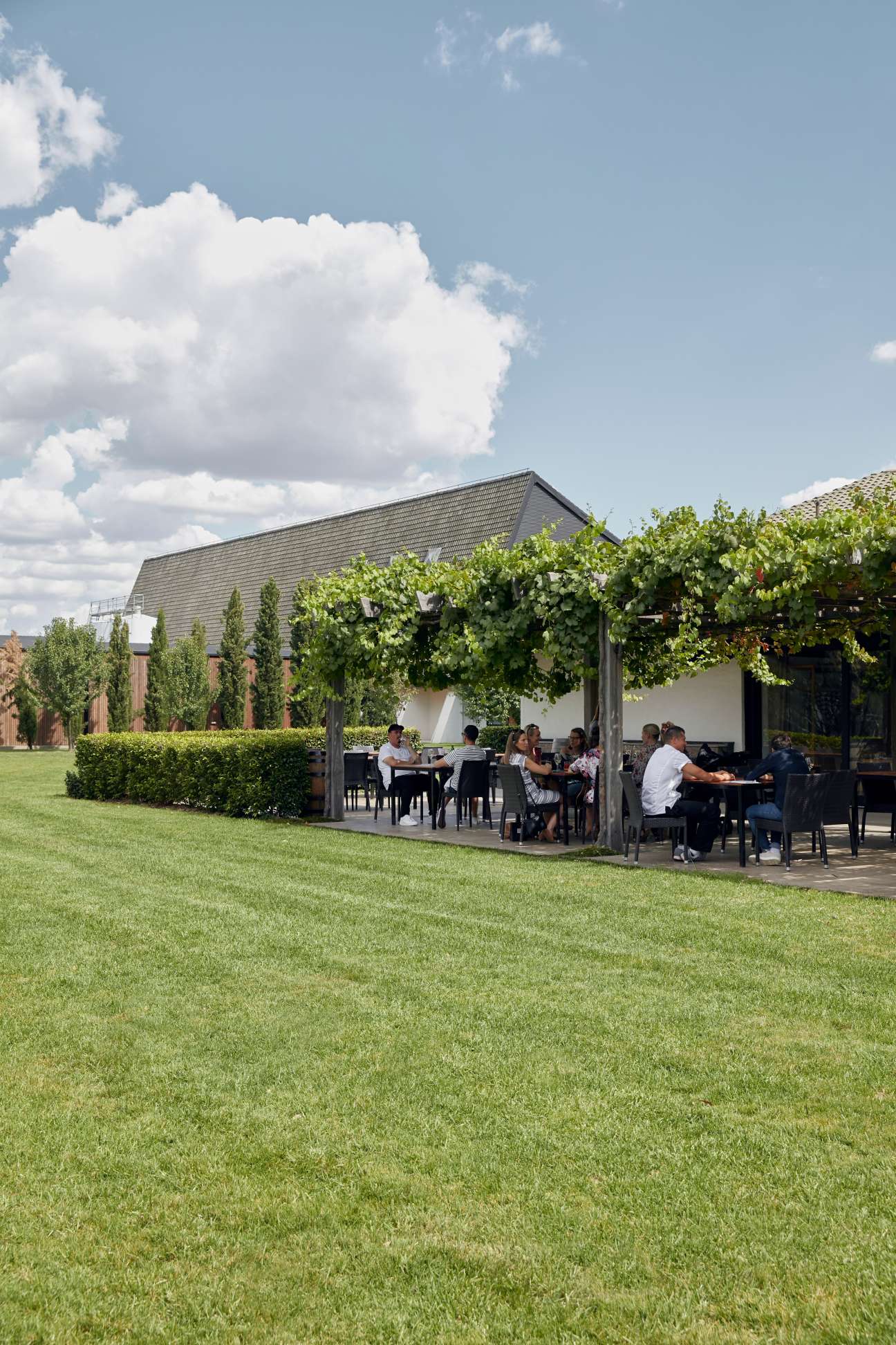 Diners seated at tables under a pergola covered with grapevines at Mitchelton Wines restaurant Muse.