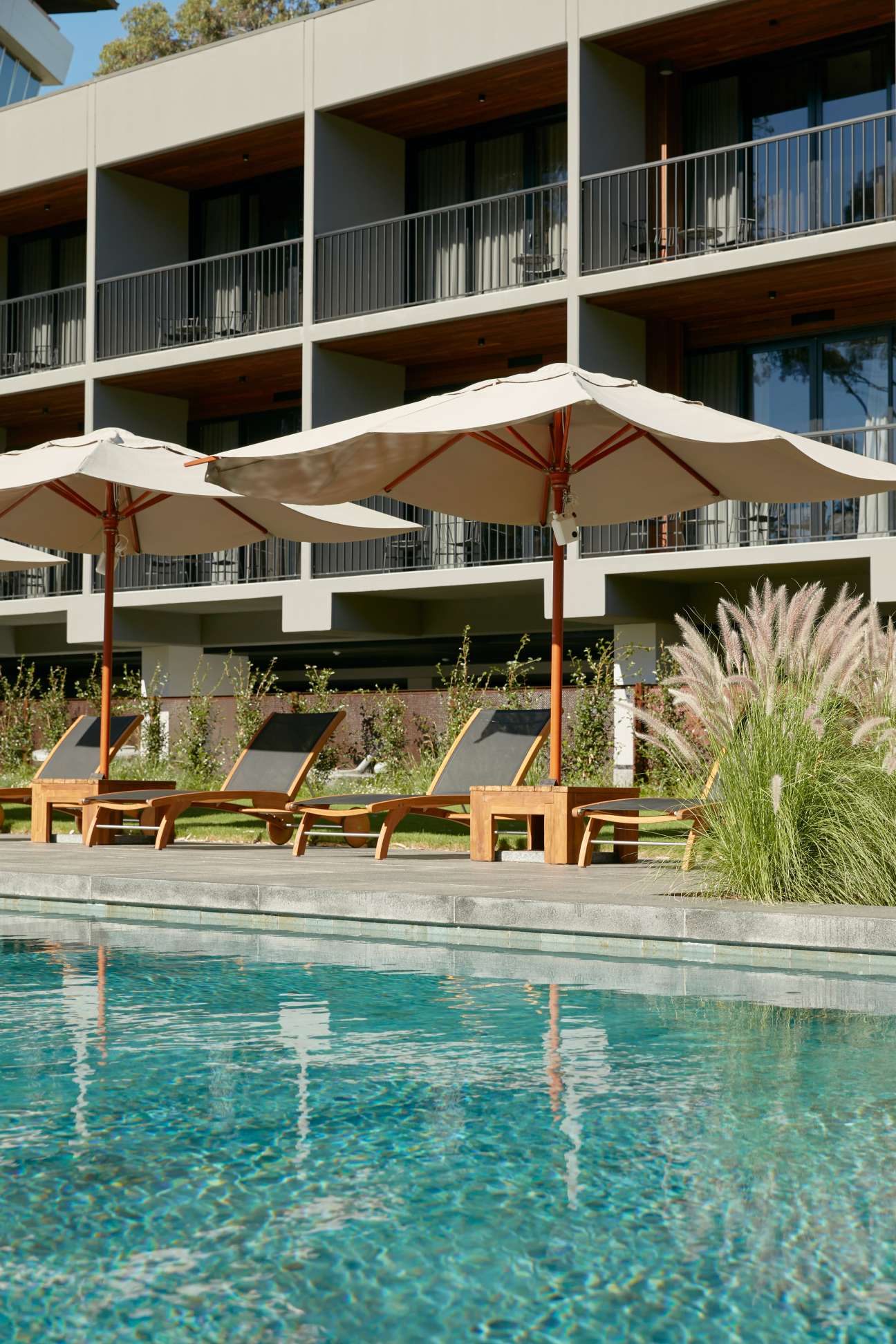 Deck chairs and umbrellas beside Mitchelton hotel's swimming pool with modern architecture behind.