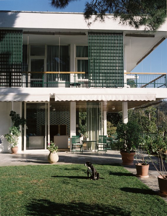 Panti the dog stands on the lawn in front of the Riza Dervis house, a modernist villa with white concrete walls, green slatted screens, and large windows overlooking the Sea of Marmara.