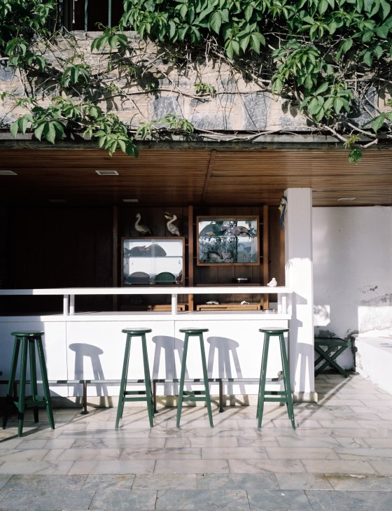 Poolside bar with white counter and green bar stools under wooden overhang with climbing vines.