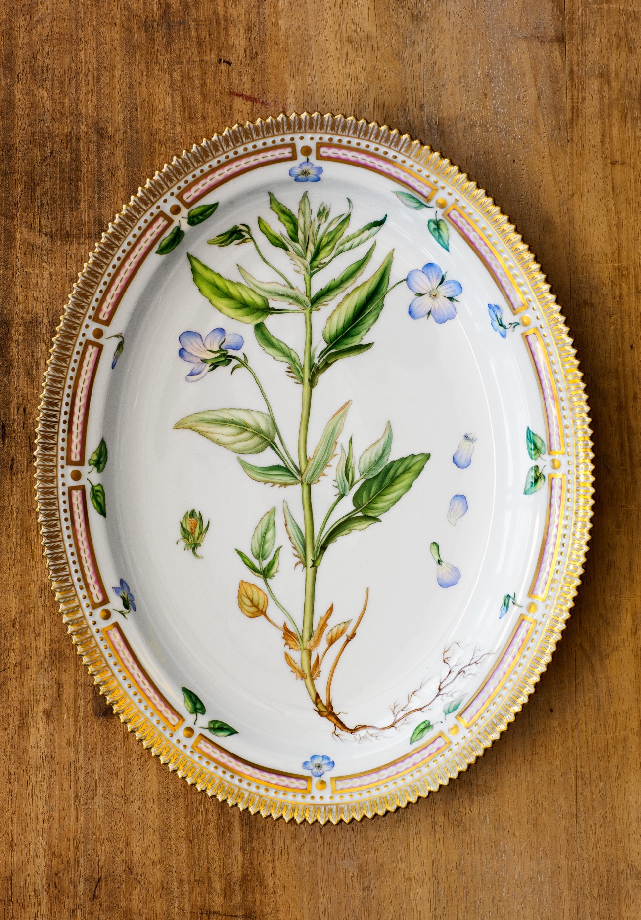 Flora Danica serving plate with handpainted botanical design and decorative gold-trimmed border.