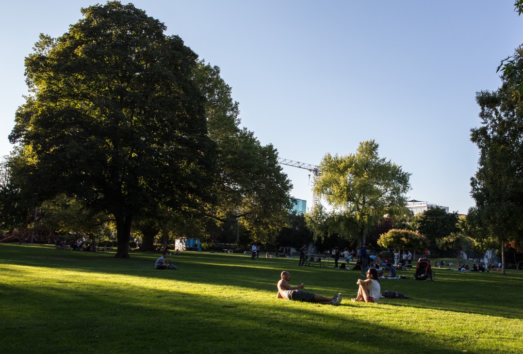 People relaxing on green grass in a park surrounded by large trees under clear blue sky.