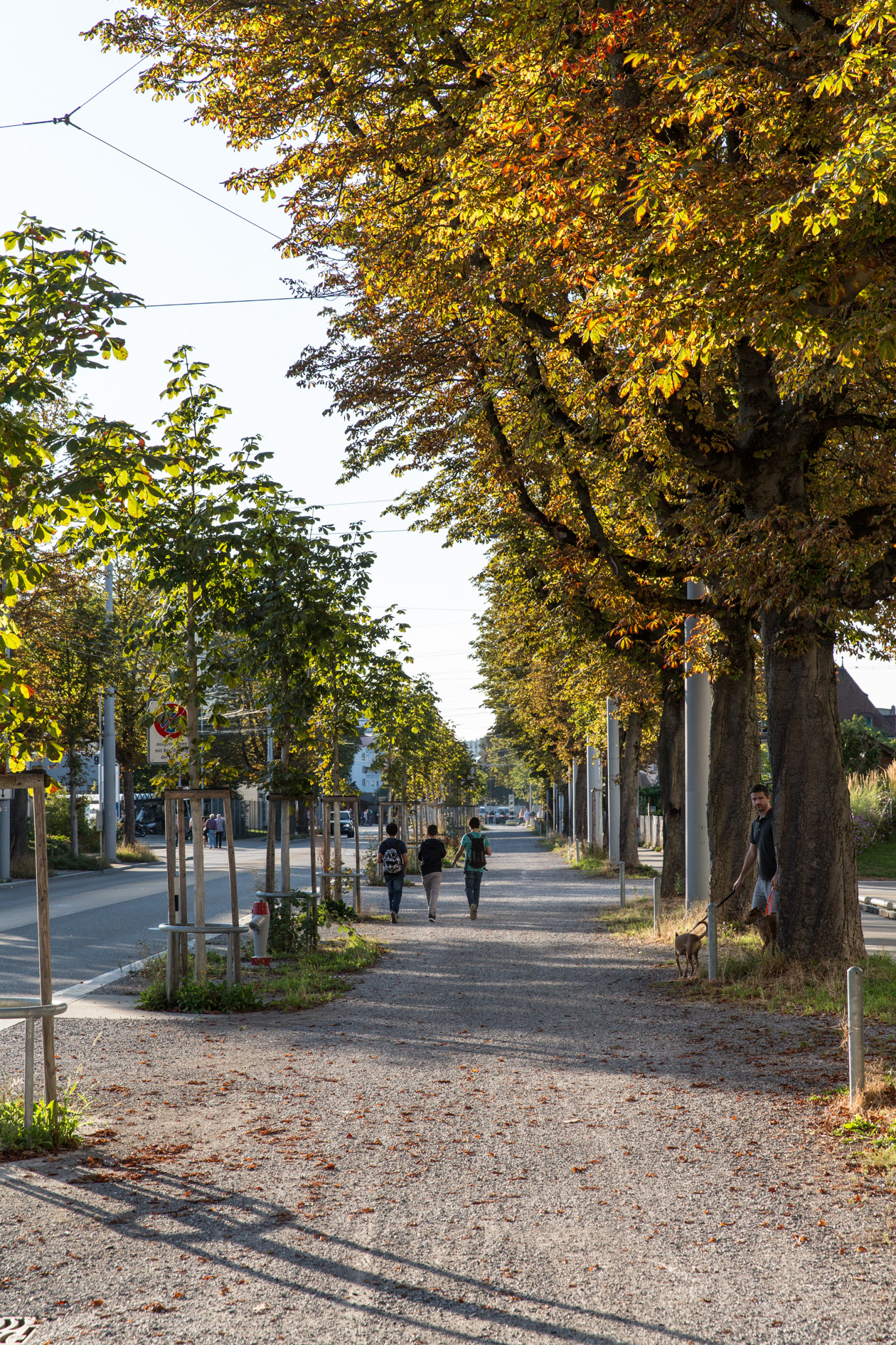 Tree-lined street in Kreis 4 with autumn foliage and pedestrians walking on a gravel path.