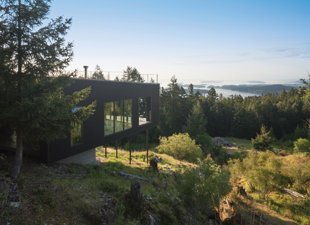 Modern black-clad house on stilts surrounded by forest with water views in the distance