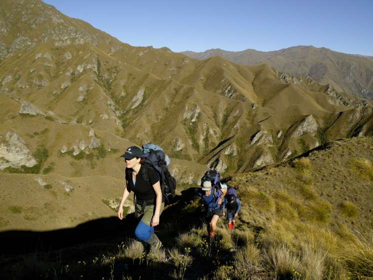 Hikers with backpacks walking along a mountain trail in New Zealand's landscape.
