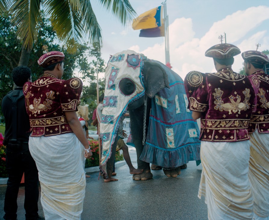 Elaborately dressed elephant and handlers in traditional garments at a wedding celebration in Colombo.