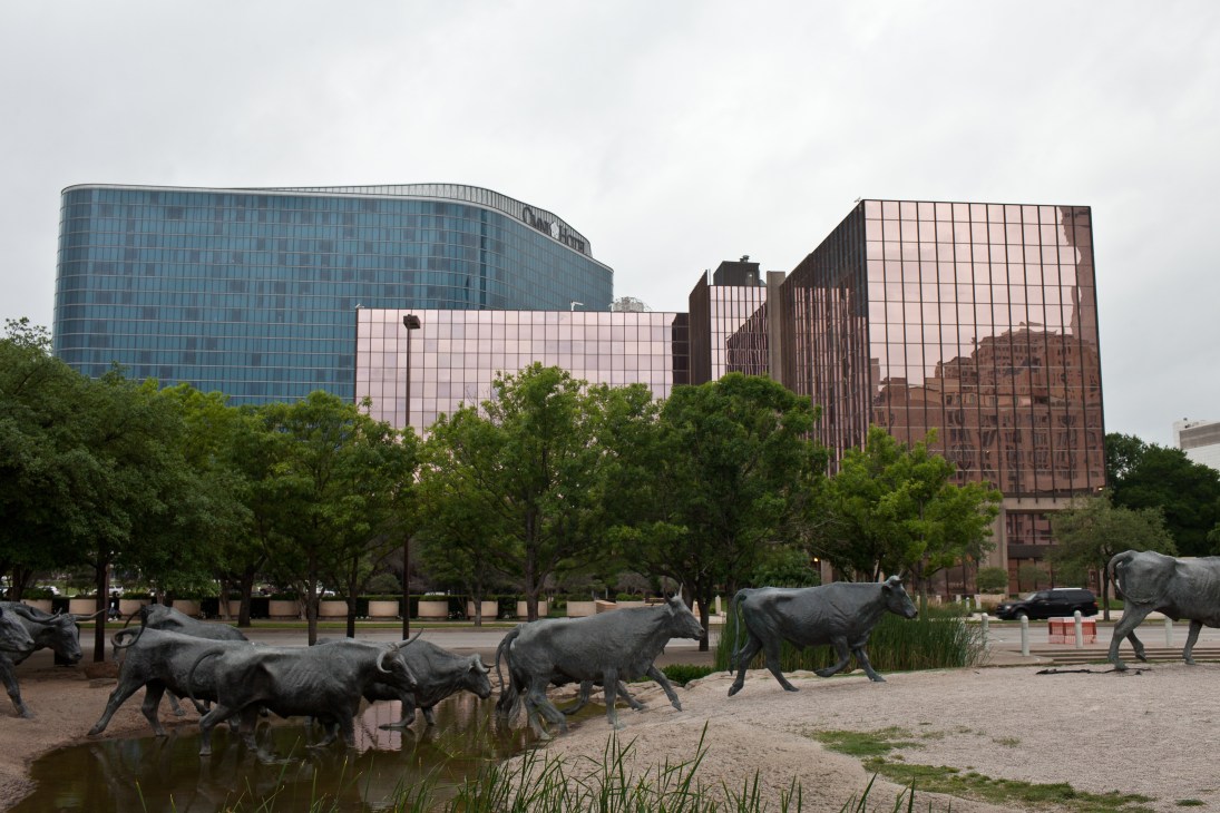 Bronze cattle sculptures in Pioneer Plaza with modern Dallas buildings and trees in the background.