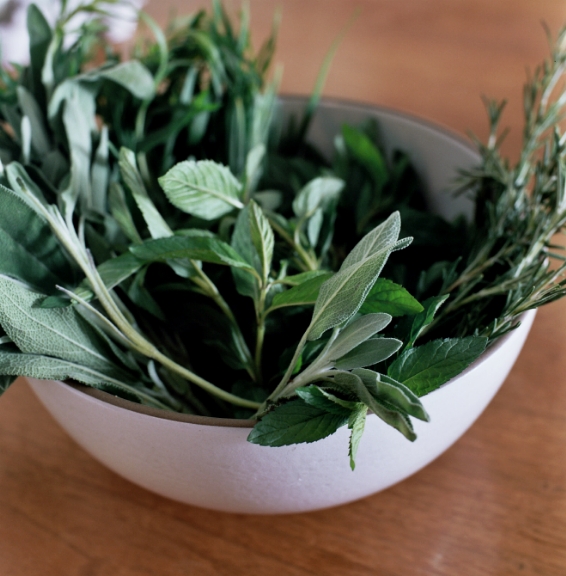 Fresh herbs including sage and mint in a white bowl on a wooden surface.
