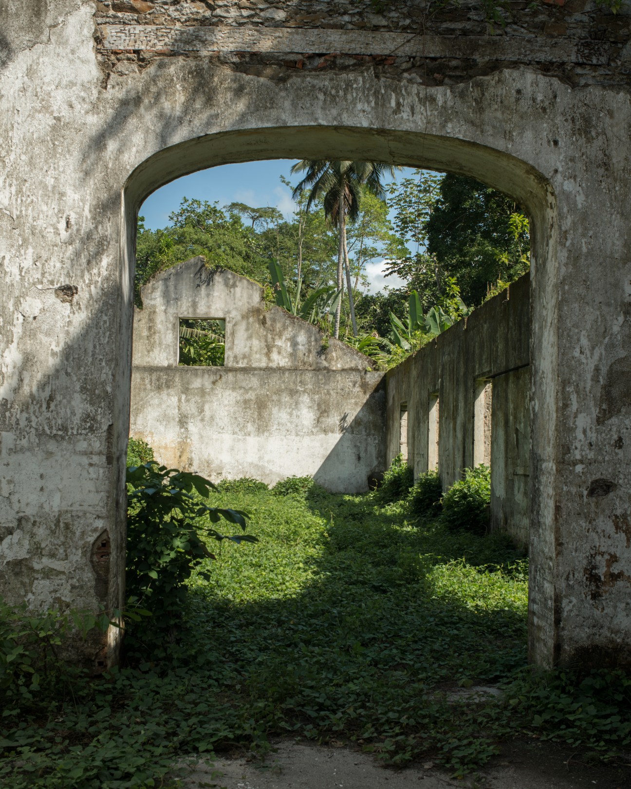 Overgrown ruins of an abandoned building with concrete archway framing jungle vegetation.