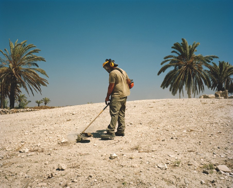 Palestinian man with electric strimmer clearing weeds on dusty ground at Mount Megiddo.