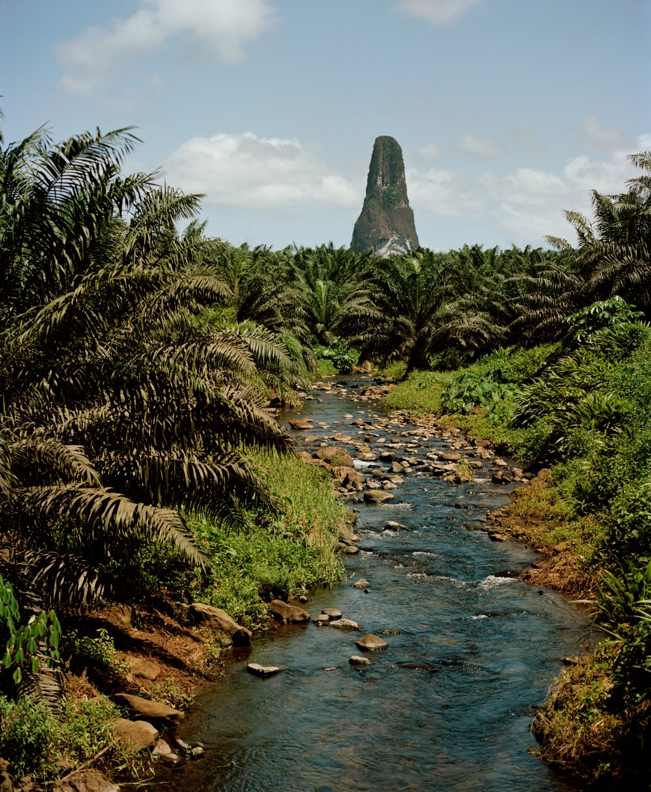 A distinctive cone-shaped mountain peak rises above lush tropical vegetation and a flowing stream in São Tomé.