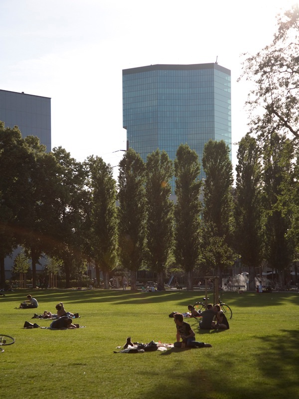 People relaxing on grass in an urban park with poplar trees and modern office buildings behind