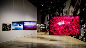 ‘DJ Mag’, ‘Claudia Andujar: The Yanomami Struggle’ and ‘The Travel Writing Tribe’