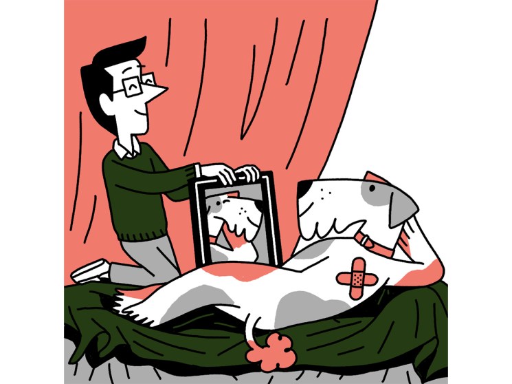 Good times unleashed