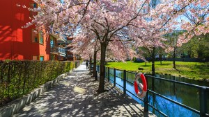 Watchmaking, Turkish baths and Nordic spring