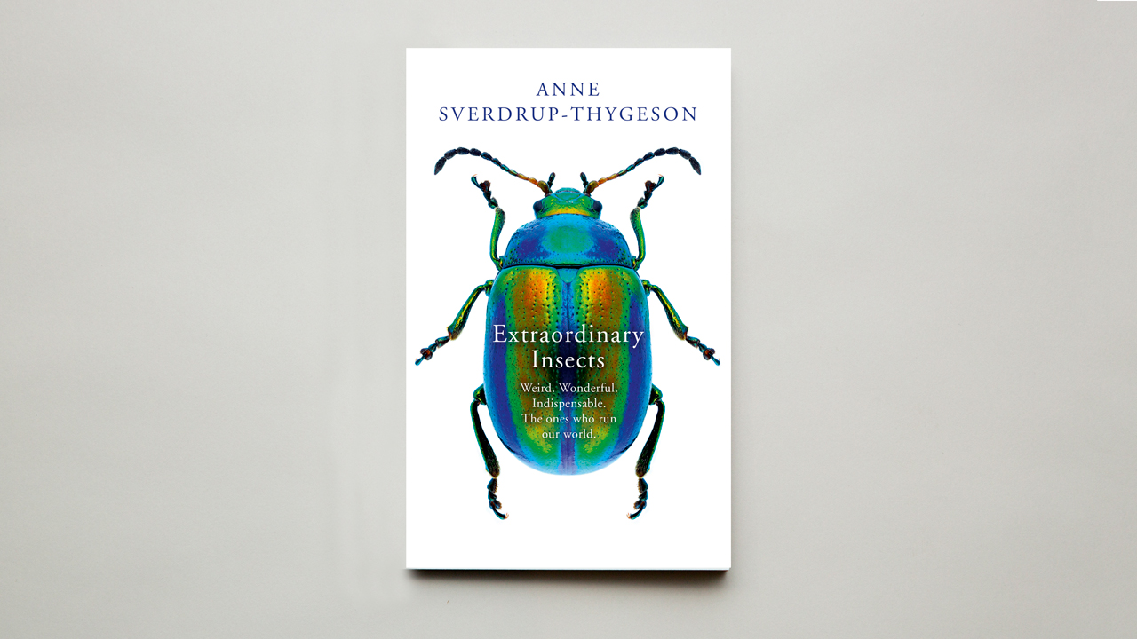 Monocle Reads: ‘Extraordinary Insects’