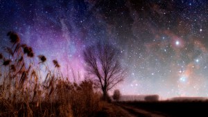 Art from the brink of war