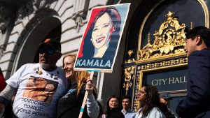 Democrats rally behind Harris