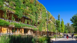 Biodiversity in the city