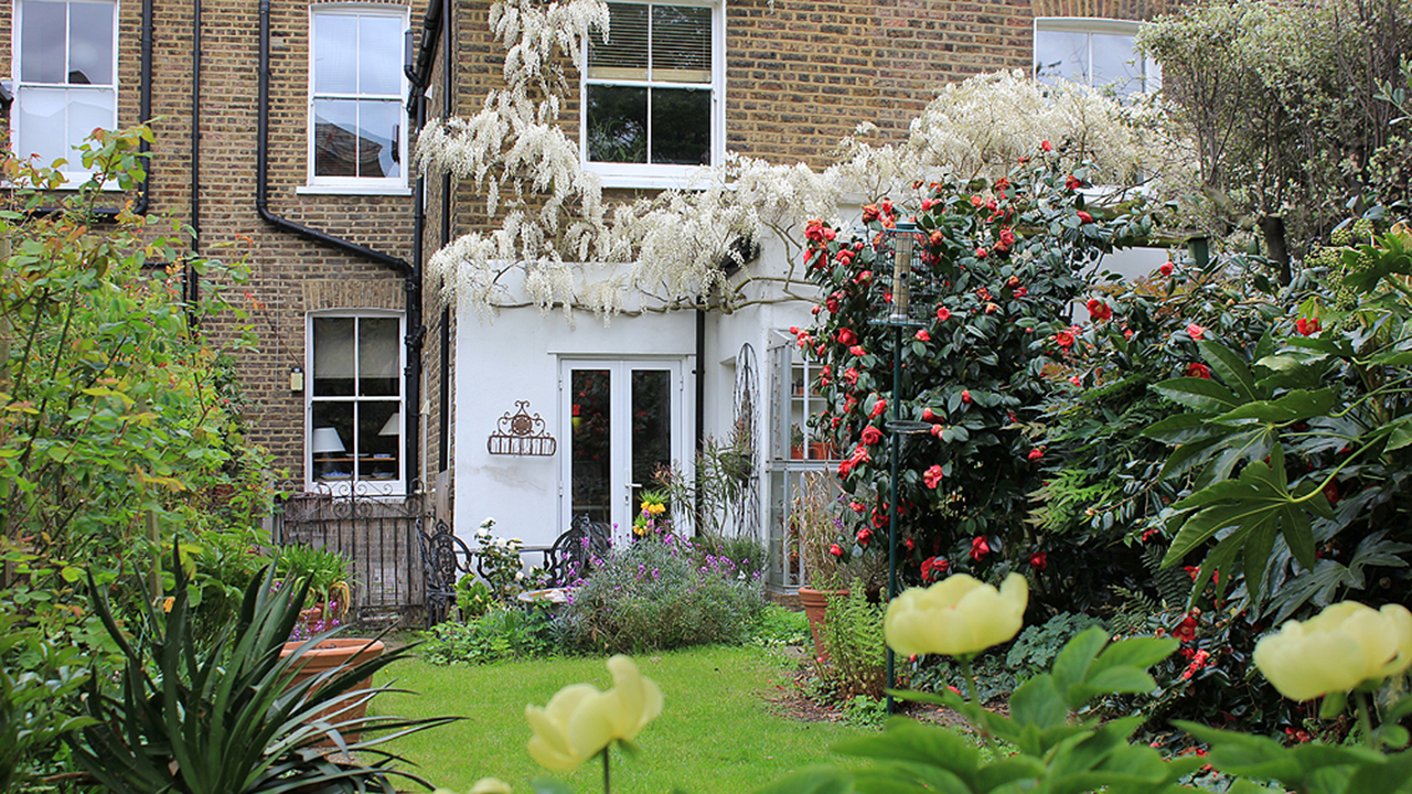 Tall Stories 315: A south-facing garden