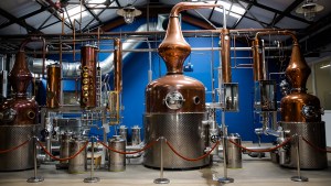 The roots of the UK gin boom
