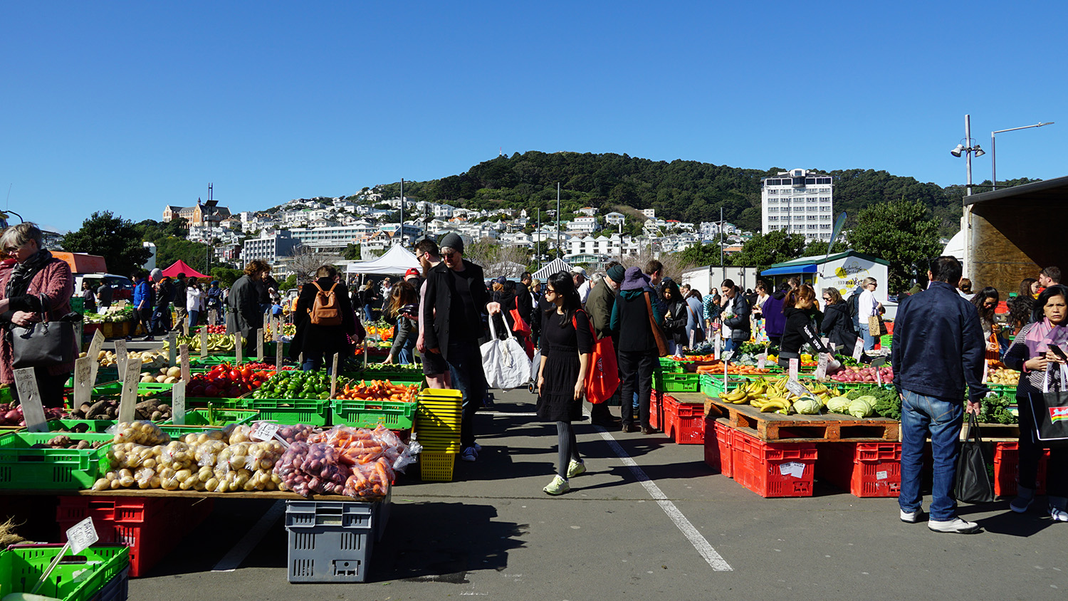 Food Neighbourhoods #392: Wellington, New Zealand