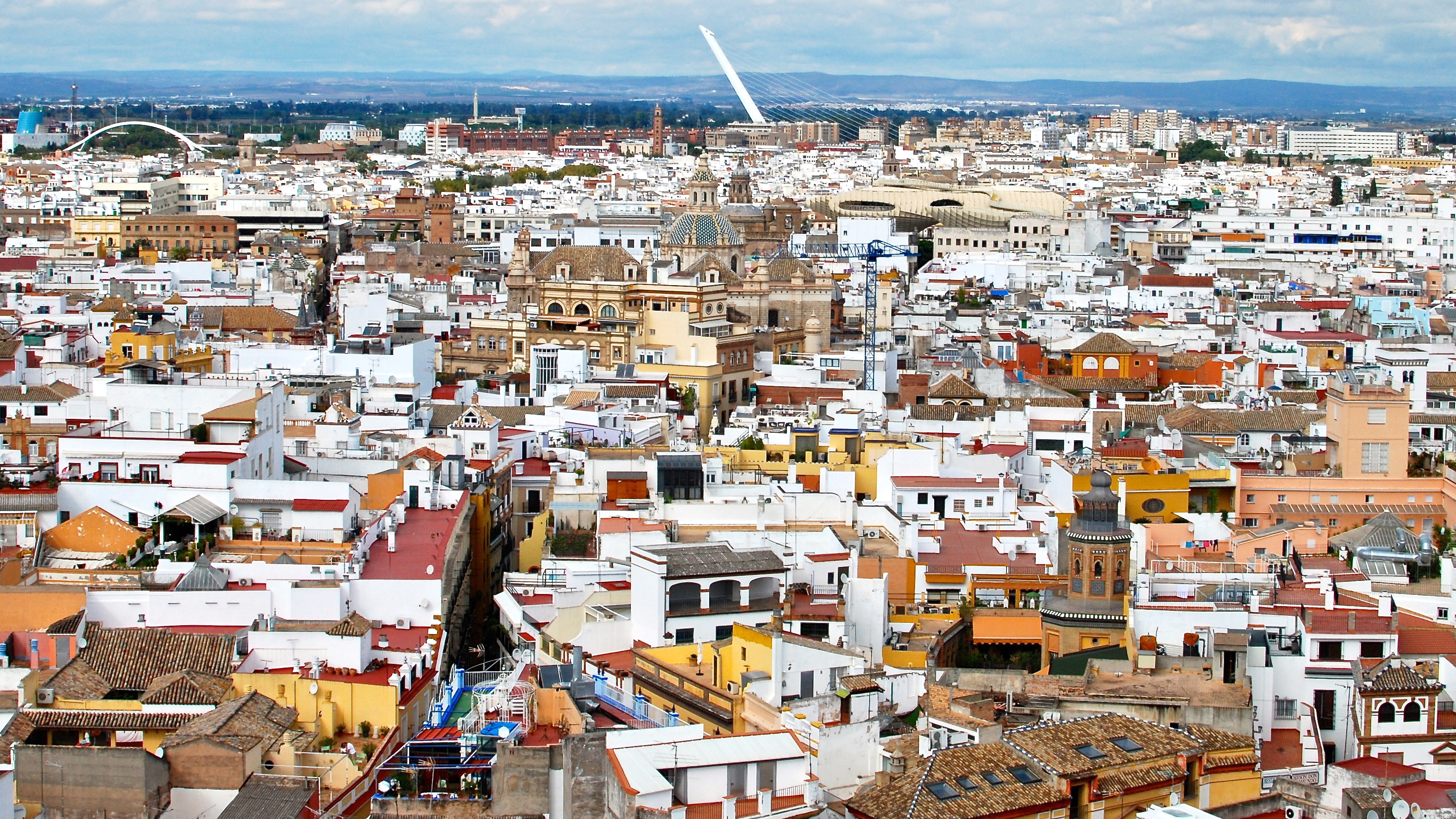 Food Neighbourhoods 36: Seville, El Arenal