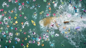 ‘The Meg’