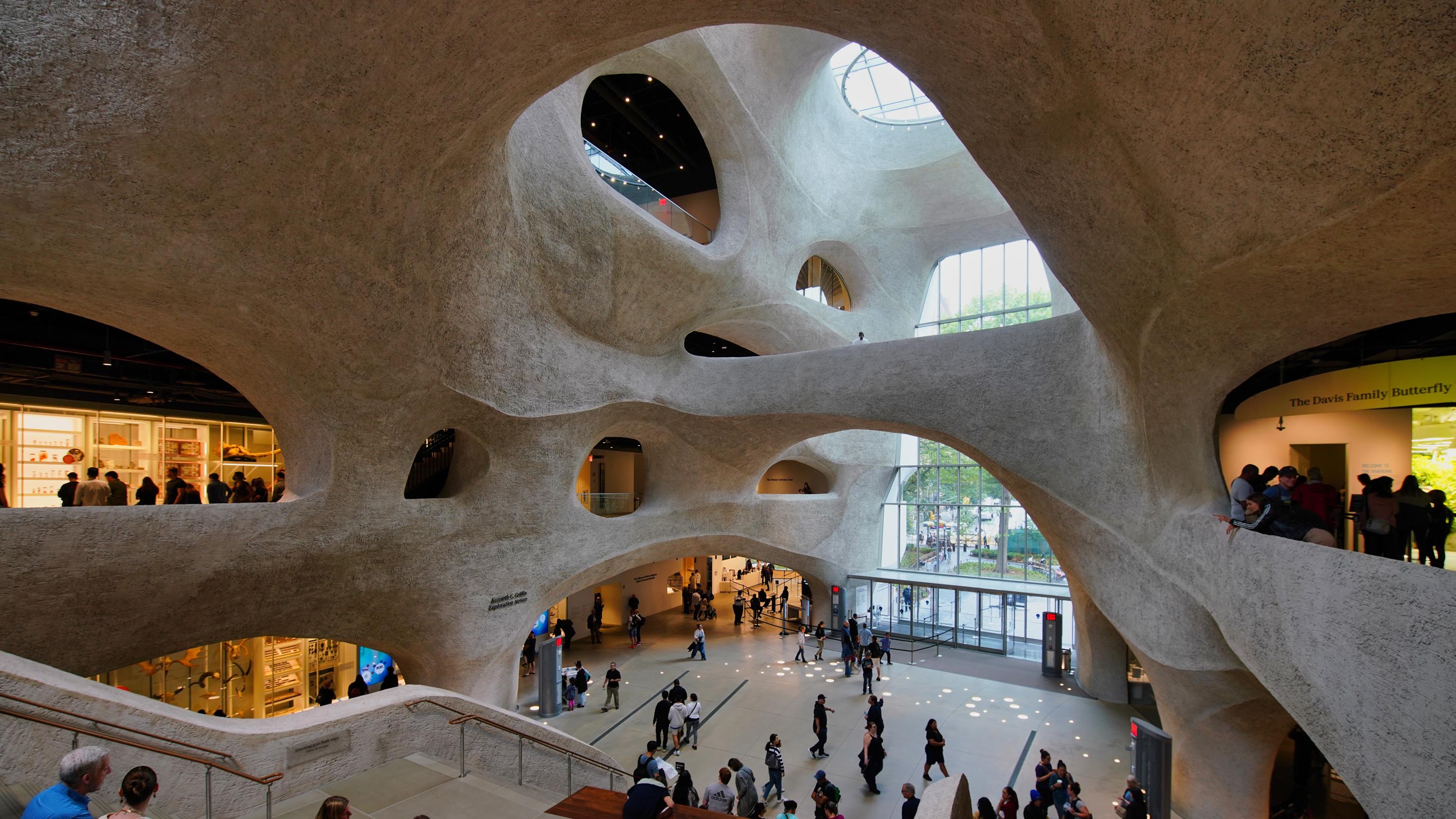 Tall Stories 437: Richard Gilder Center for Science, Education and Innovation, New York