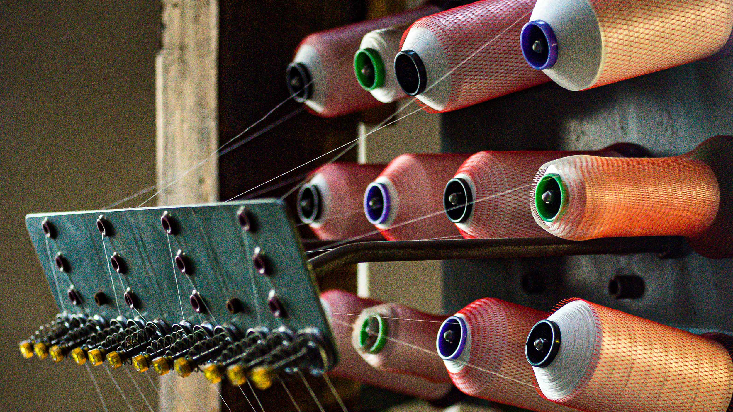Buckling down to create a sustainable future