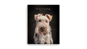 ‘The Year of the Dogs’